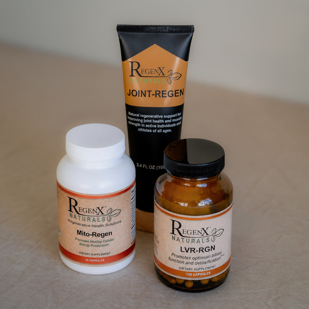 Rebuild Bundle